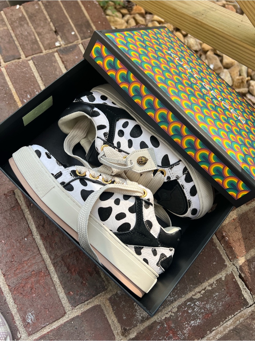 Ladies Dalmatian Print Low-Top Sneakers in Black & White